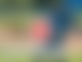 Police K9 Trials: Courage, Skill & Tactical Excellence