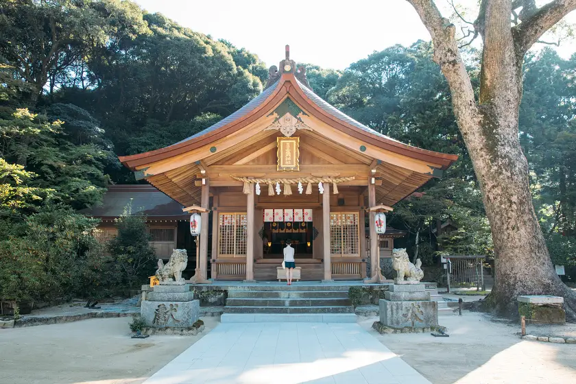 圖片