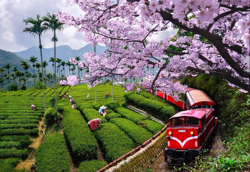 圖片