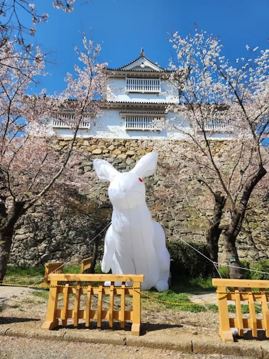 圖片