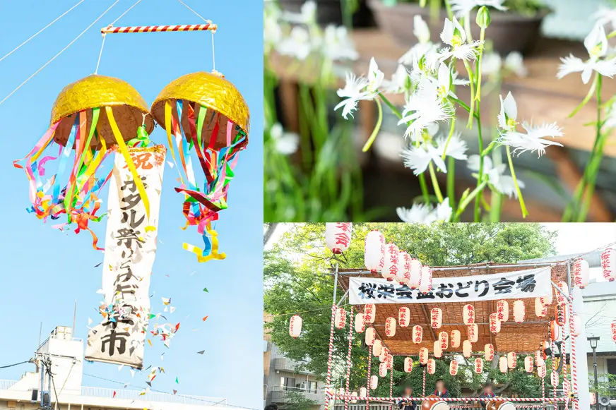 ▲ 世田谷螢火蟲祭與鷺草的屋台攤販與祭典活動(圖片來源|殖産ベスト株式会社)