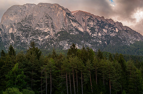L0252751.jpg
