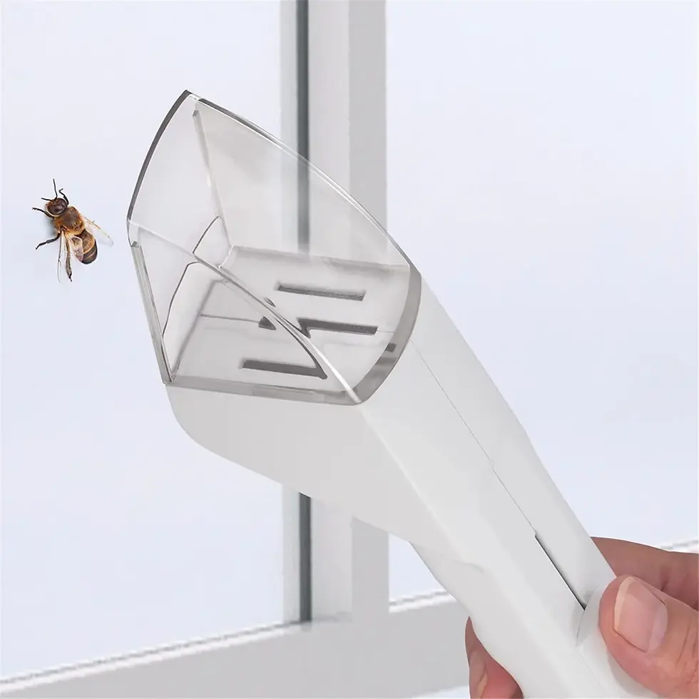 Thumbnail: Insect Catcher handheld tool for gentle spider and bug catching