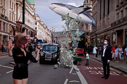 Which are the true sharks ?