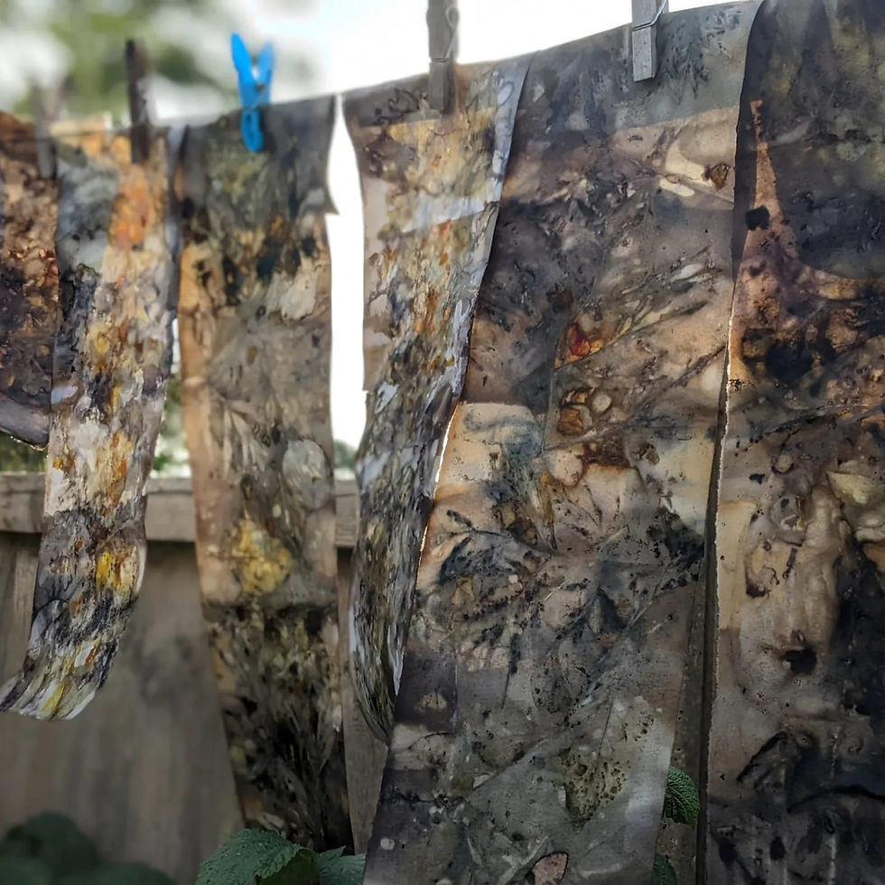 Eco-printing with Sarah Beckerleg and Gelli Plate Printing with Jackie Ford 