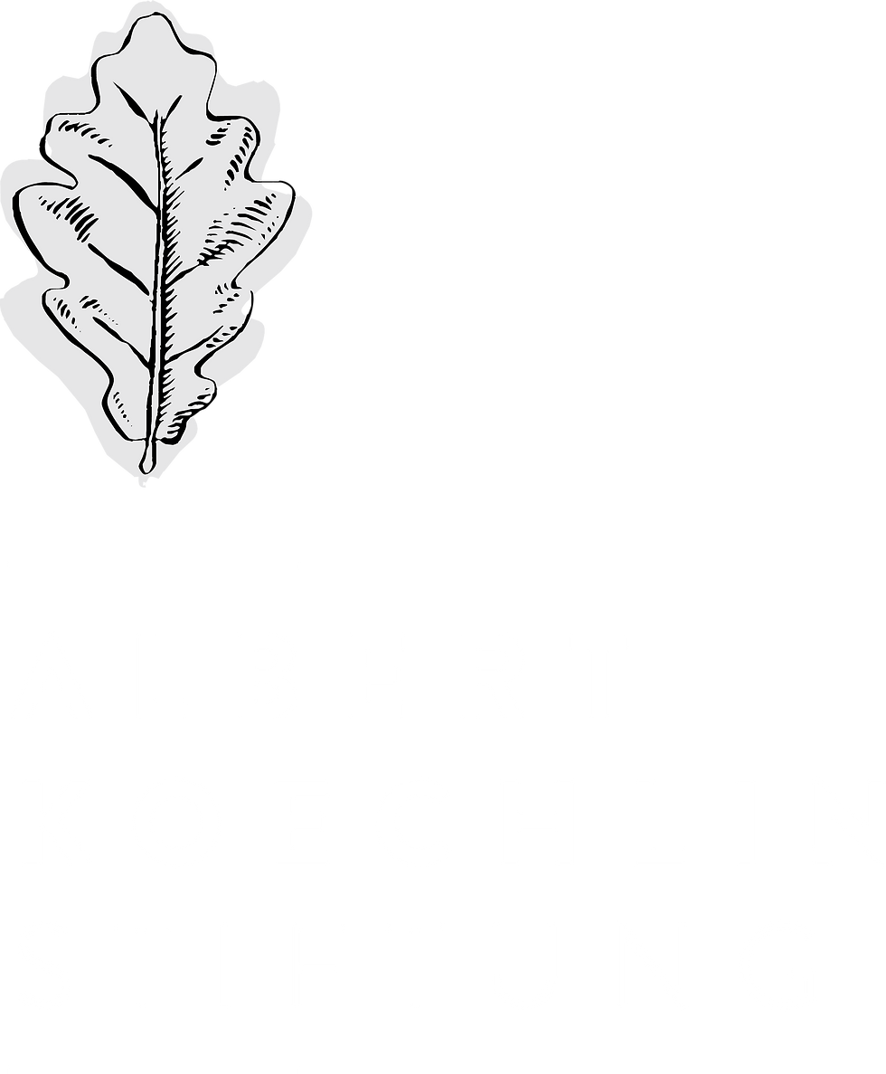 Albert Koechlin Stiftung