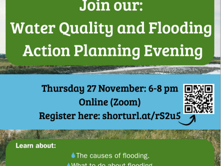 Water quality and flooding action planning, 27th November 6-8pm, Zoom