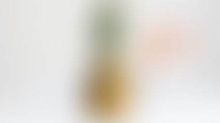 5 Reasons Why Pineapples are the Perfect Symbol for Infertility (and my blog)