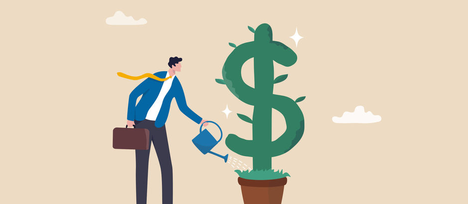 Compreendendo Suas Finanças: A Importância da Literacia Financeira