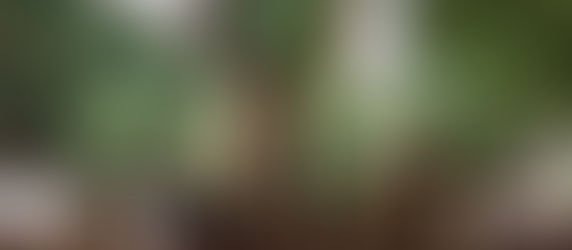 Fundos de Pensão: Compreendendo o Conceito