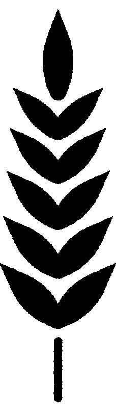 wheatsymbol.gif