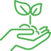 trees less cut.png