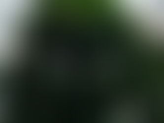 秋の気配
