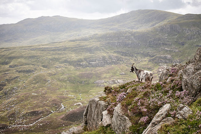 Pen-y-Pass, Snowdonia
