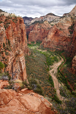 Zion National Park_019