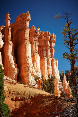 Bryce Canyon_221