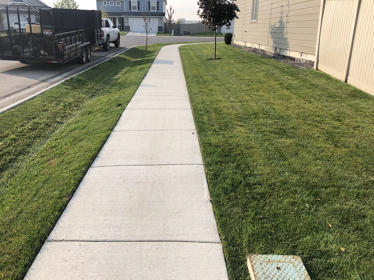 green healthy grass Nampa, Idaho