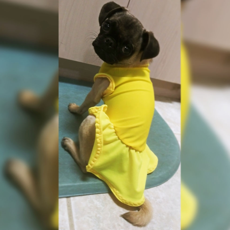 Thumbnail: Cardi's Daisy Dress
