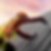 Metal Roofing.png