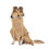 Thumbnail: Lill's - Hundebademantel aus Bio-Baumwolle