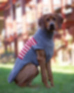 America Strick Pullover