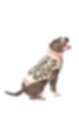 "Pink Leopard" Strick Pullover