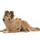 Thumbnail: Lill's - Hundebademantel aus Bio-Baumwolle