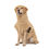 Thumbnail: Lill's - Hundebademantel aus Bio-Baumwolle