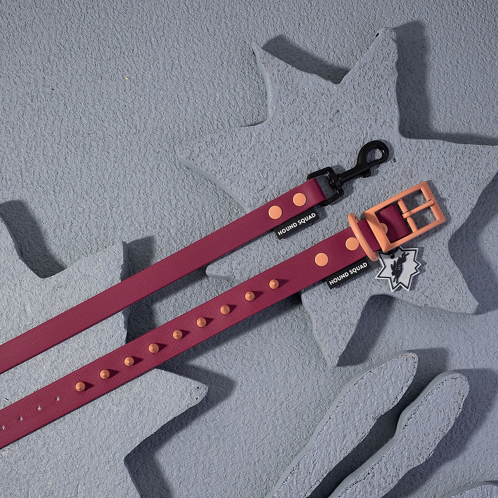 Miniaturbild: Classic Nieten Halsband Burgundy