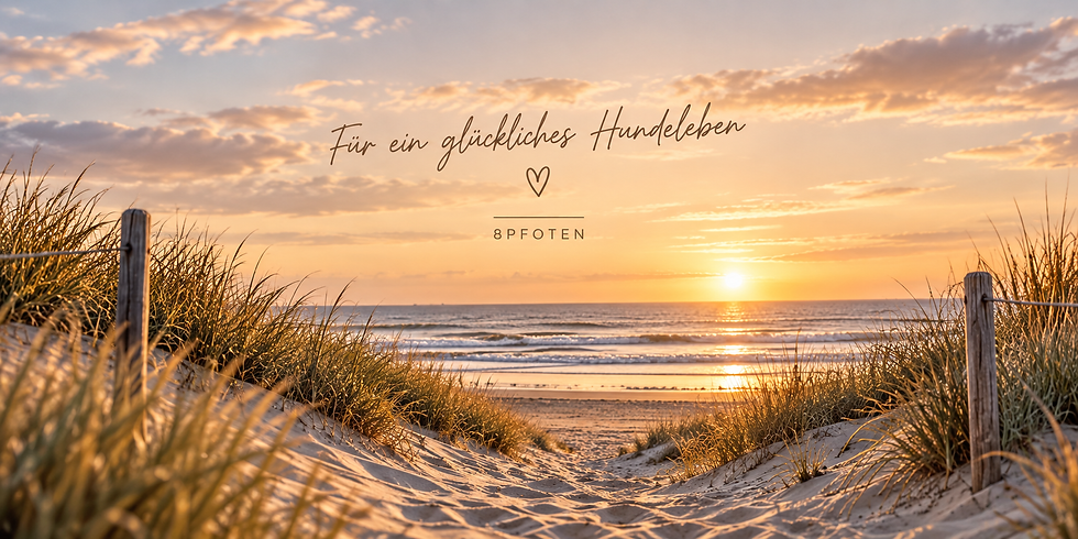 Goldener Dünenpfad zum Sonnenuntergang.png