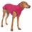 Miniaturbild: Sofa Dog Wear - Hachico Citypunk Colours