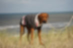 Boyfriend Strick Pullover
