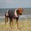Thumbnail: Boyfriend Strick Pullover
