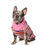 Thumbnail: "Colours" Strick Pullover
