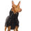 Miniaturbild: Sofa Dog Wear - Zoran Sport