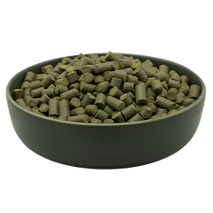 Napf mit pflanzenbasiertem Hundefutter MAXiDOG Cura Alge, Hinweise im Bild zu fleischfrei und für sensible Hunde geeignet.