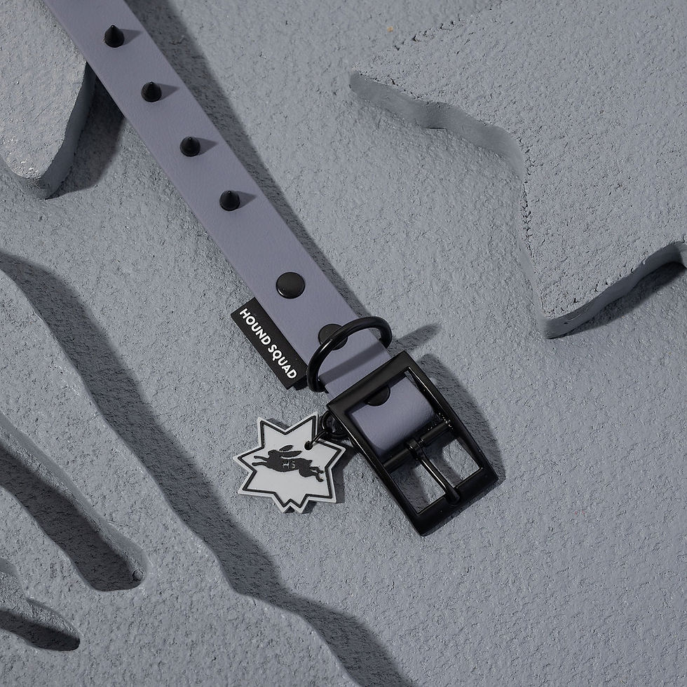 Miniaturbild: Classic Nieten Halsband Grau