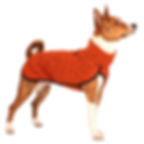 Sofa Dog Wear - Ken Jumper