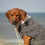 Thumbnail: Boyfriend Strick Pullover

