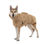 Thumbnail: Lill's - Hundebademantel aus Bio-Baumwolle
