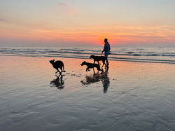 Ivy_Chance_Vegas am Strand