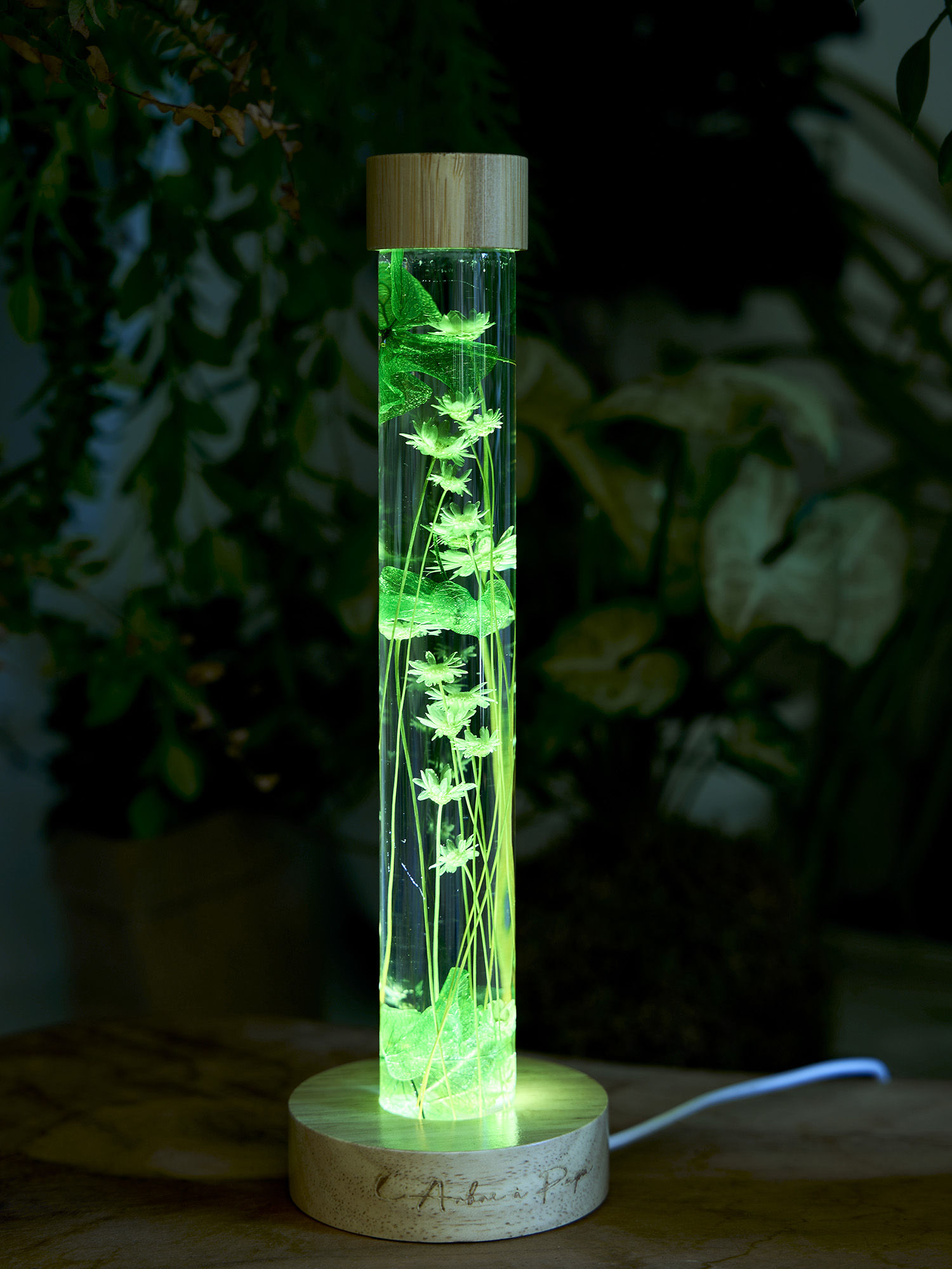 Herbarium lumineux vert – Fleurs séchées en fiole