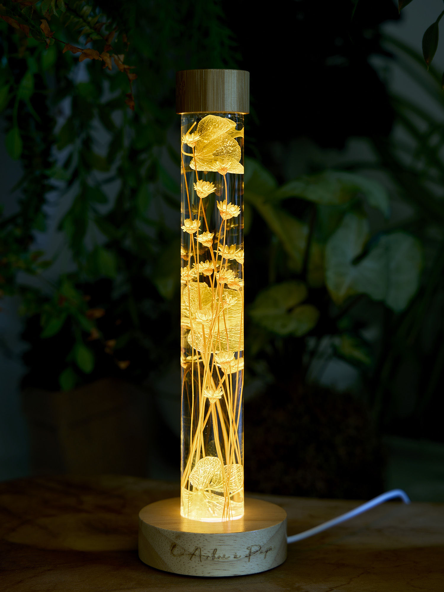 Herbarium lumineux jaune – Fleurs séchées en fiole