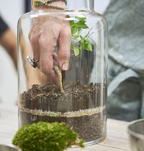 atelier terrarium hero.jpg