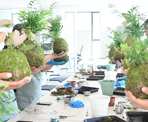 Atelier Pro.jpg