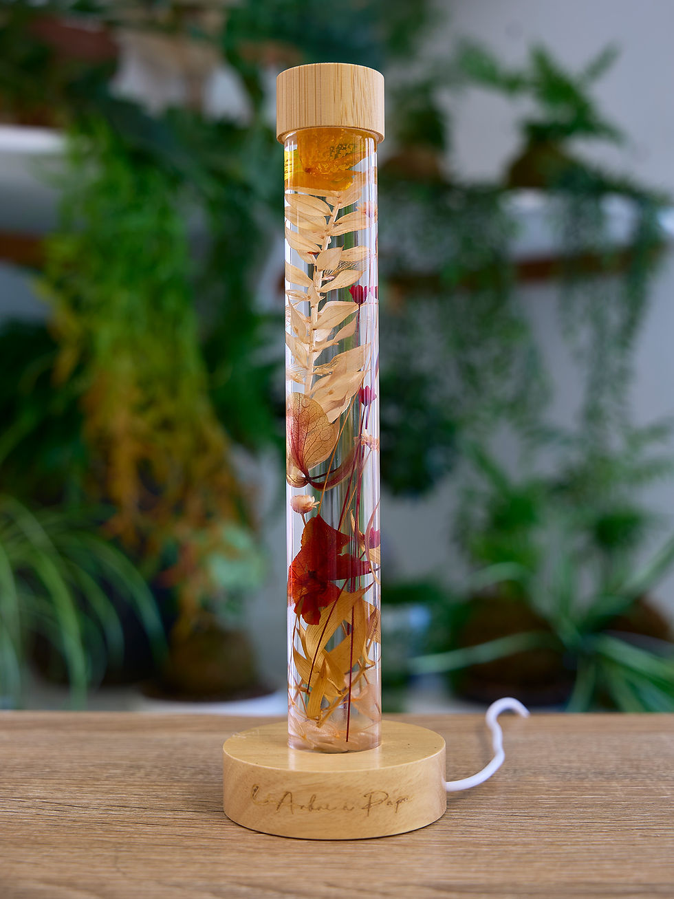 Herbarium lumineux Automne aux tons orangés et dorés avec socle LED en bois éteint – L'Arbre à Papa
