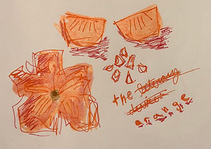 The literary device orange