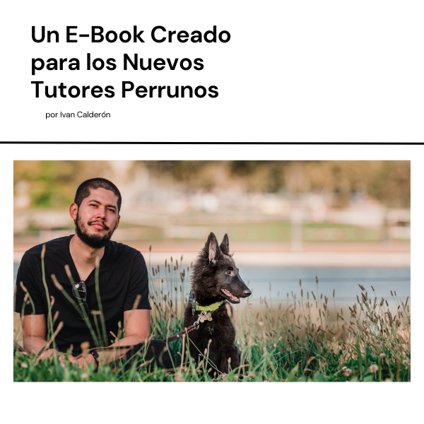 Como Aprenden Los Perros