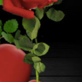 Why not give me my roses now?