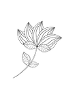 Montagne Noire-7.png